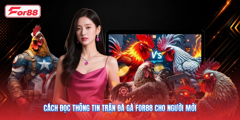 Cách Đọc Thông Tin Trận Đá Gà FOR88 Cho Người Mới